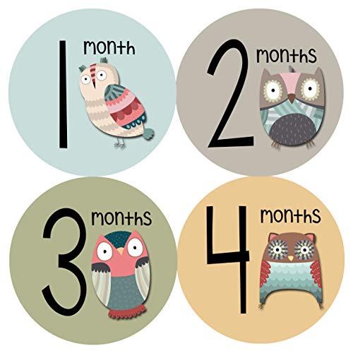 חודשים בתנועה מין ניטראלי חודשי תינוק מיילסטון מדבקות-סרבל תינוקות חודש מדבקה-תינוק תמונת נכס לשנה הראשונה - מקלחת מתנה - יילוד מזכרות-יוניסקס