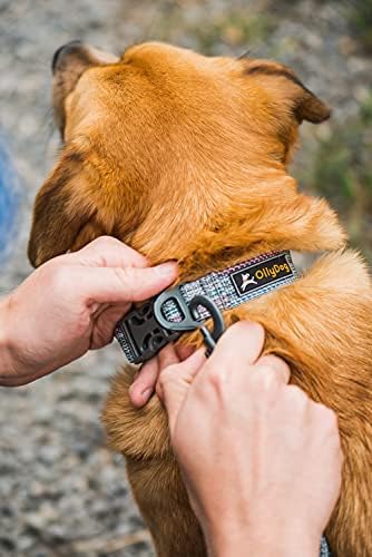 צווארון כלבים מתכוונן של Ollydog Rescue עם אבזם יציב, צווארון אימונים קל משקל לכלבים גדולים, בינוניים וקטנים